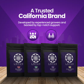 Lotus Nutrients Boost bottle aids growth-stage transitions.