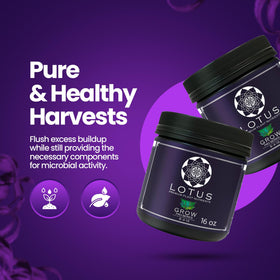 Grown in coco coir, hydro, and soil setups with pH-friendly formula