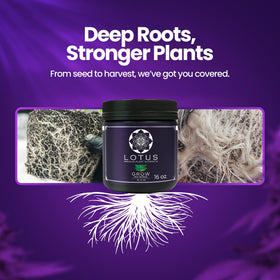 Vegetative growth stage plants receiving Grow Pro Series in a grow tent