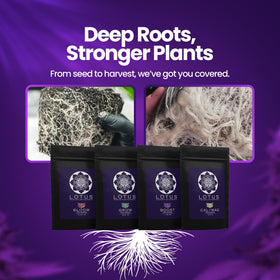 Lotus Nutrients Intro Pack Full Set lets growers sample the full system.