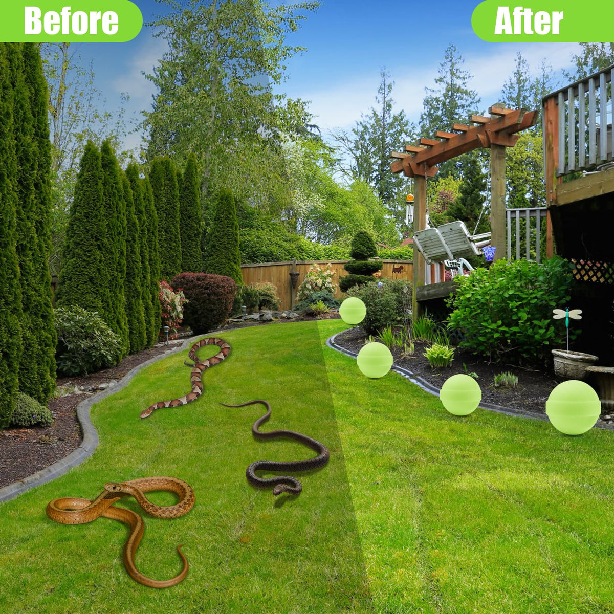 Lousye camping snake protection for safer family trips.