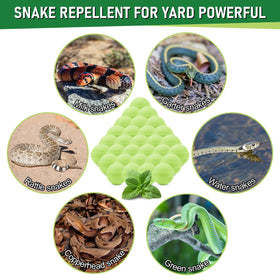 Lousye snake repellent pills close-up with individual wraps for easy placement