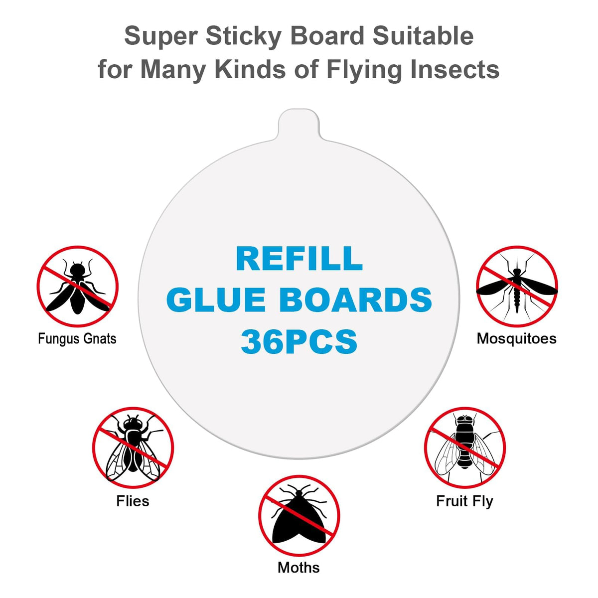 Lousye sticky card trap adhesive pad for efficient insect trapping.