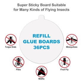 Lousye sticky card trap adhesive pad for efficient insect trapping.