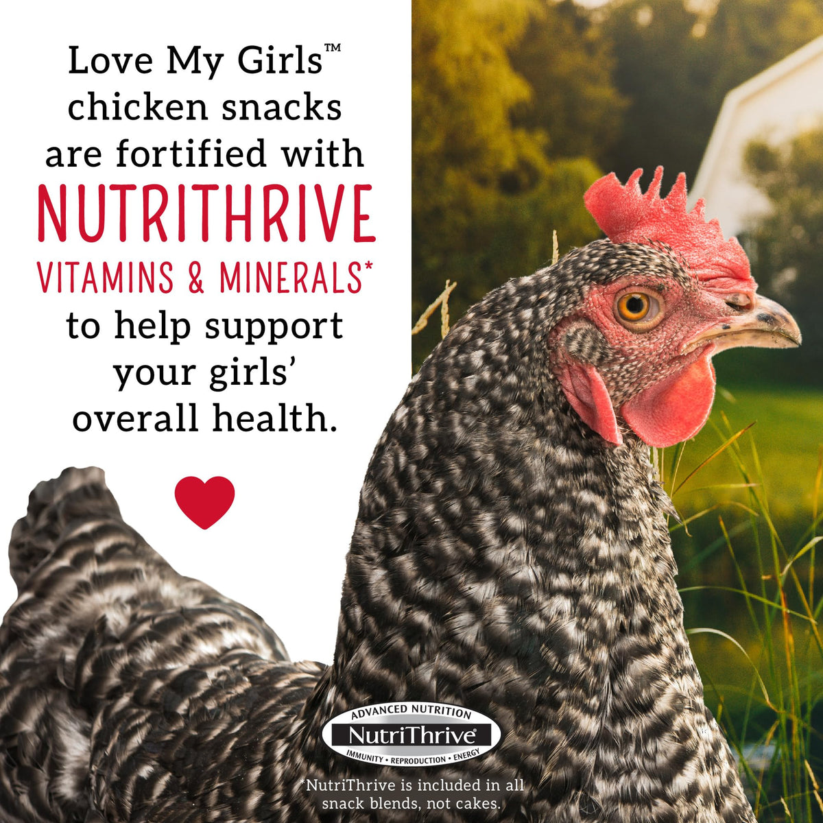 Love My Girls Flax Worms flax seeds closeup showcases omega-3 rich nutrition.