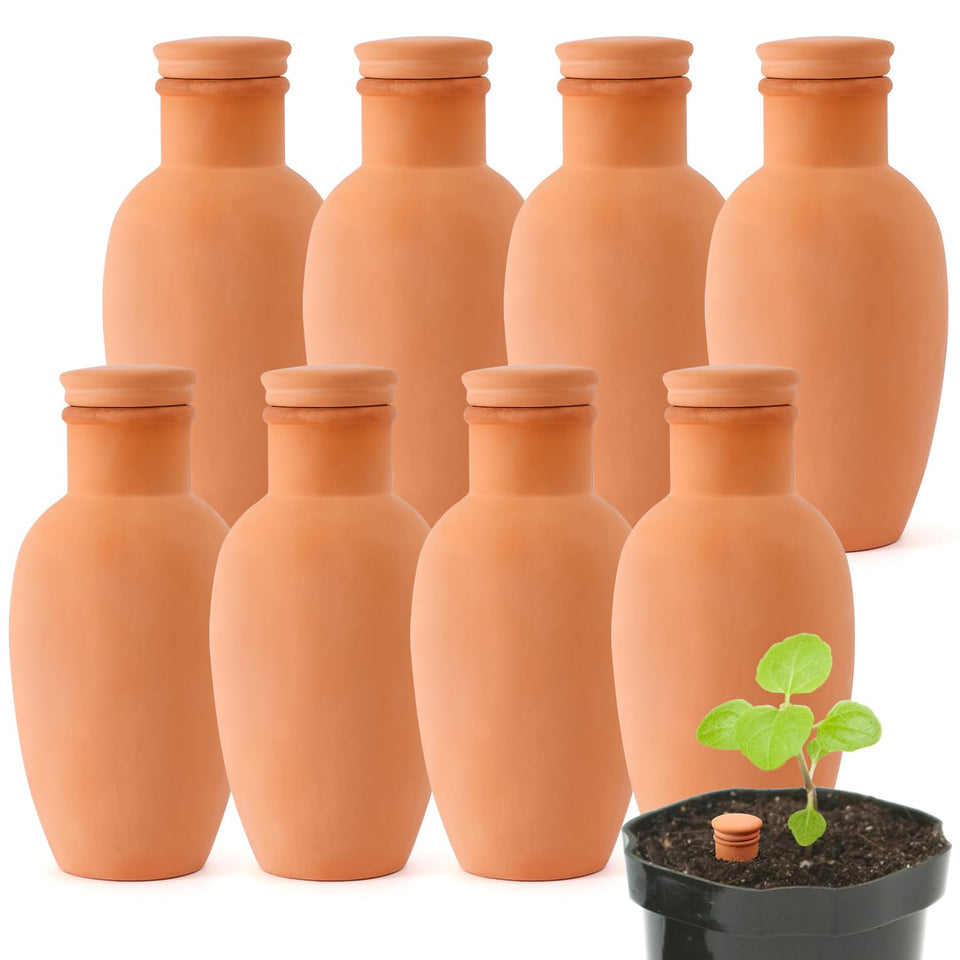 Lovely Ran Ollas self-watering terracotta planter set for steady moisture