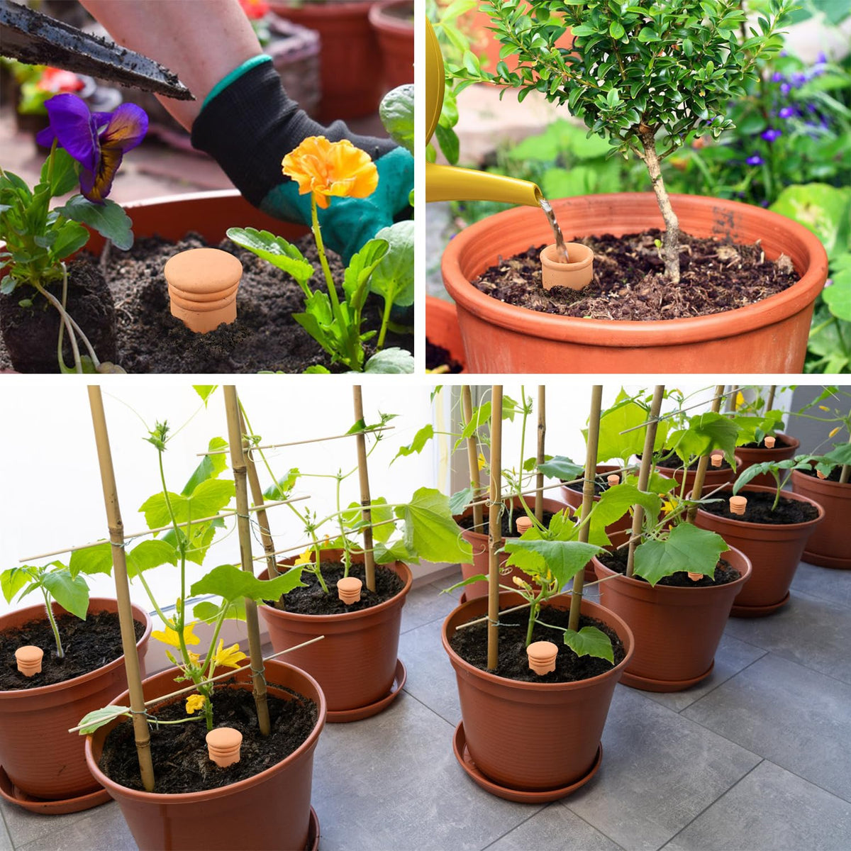 Lovely Ran earthy terracotta color blends with soil and decor.