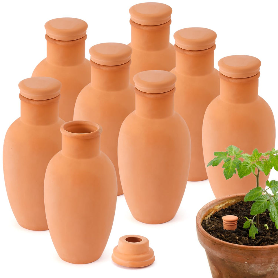 Lovely Ran Ollas globes collection showing terracotta irrigation for thriving indoor plants