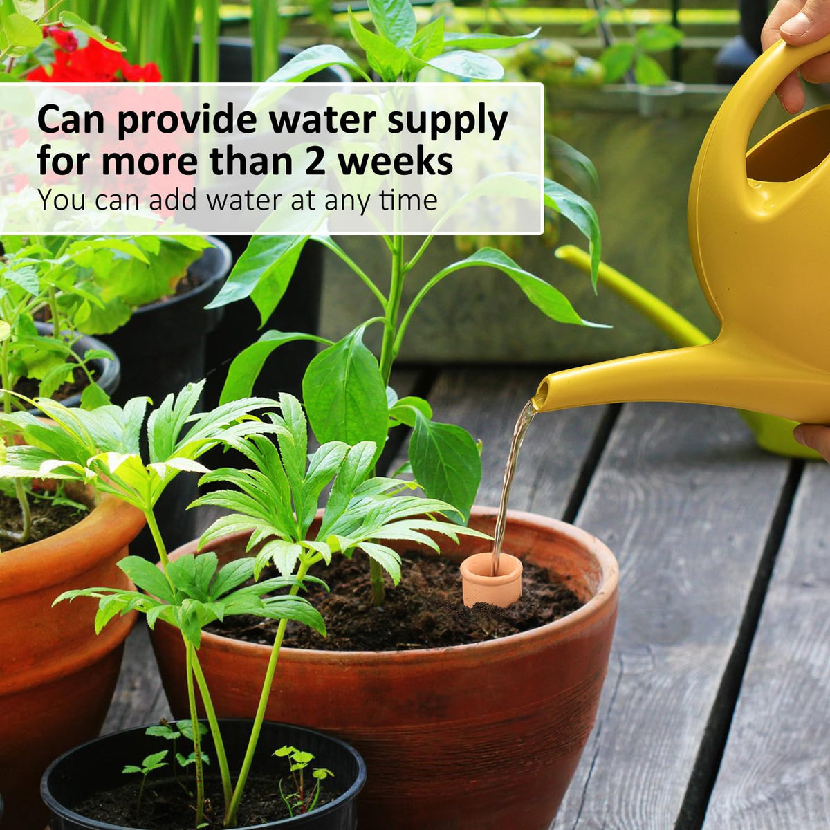 Lovely Ran root zone watering source ideal for indoor and outdoor plants.