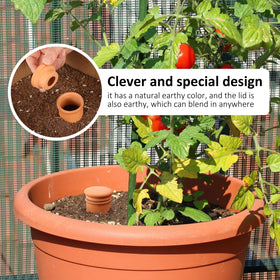 Lovely Ran self-watering globes on a plant promoting steady moisture
