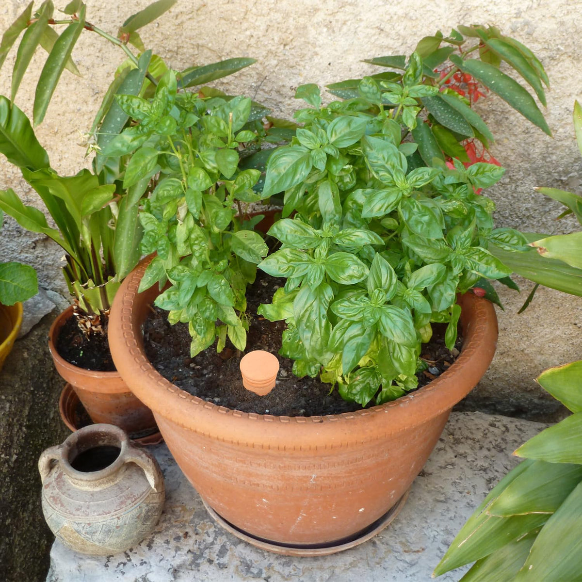 Lovely Ran self watering planter insert simplifies plant care.
