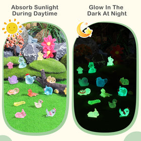 LOVEXIRAN glow-in-dark frogs illuminate tiny garden scenes