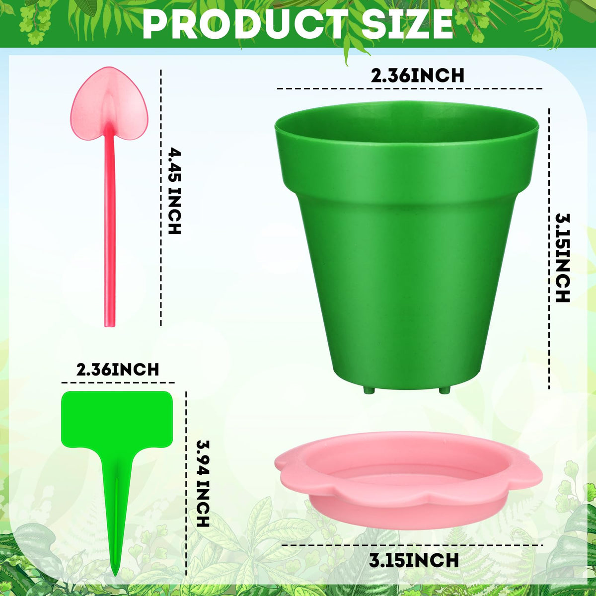 LOYIM cupcake pot with humidity dome, view of seedling progression