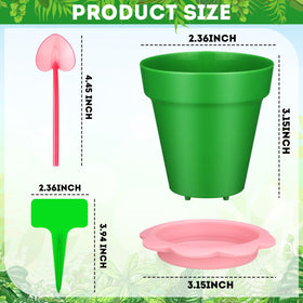 LOYIM cupcake pot with humidity dome, view of seedling progression
