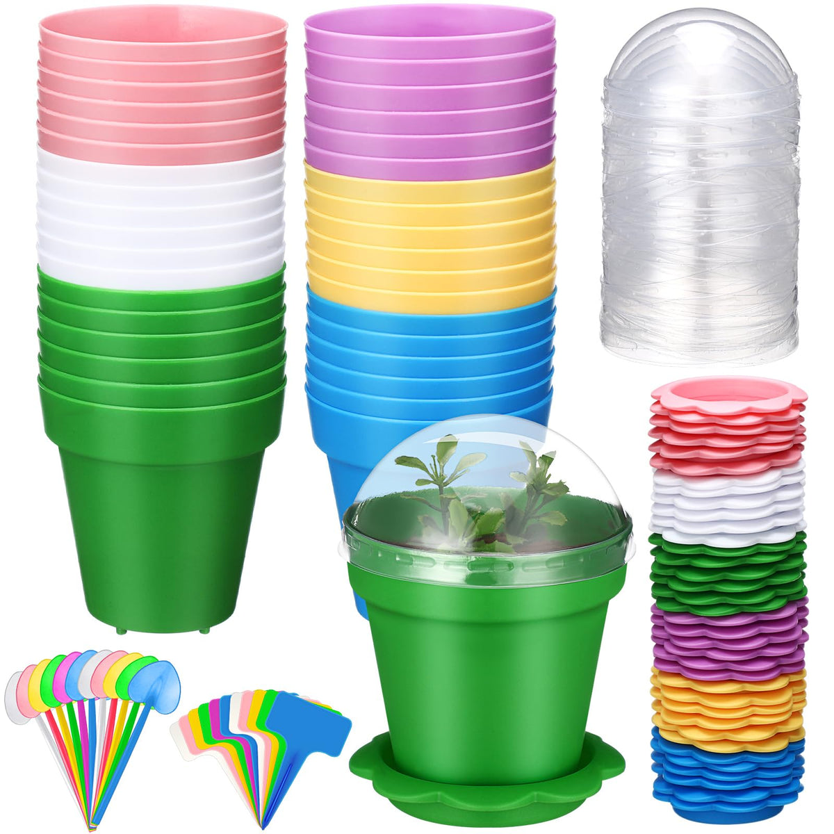 LOYIM cupcake pot with humidity dome for observing seedling growth