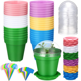 LOYIM cupcake pot with humidity dome for observing seedling growth