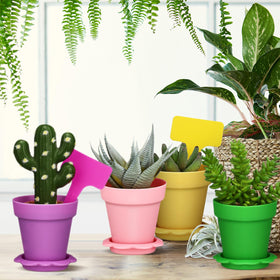 LOYIM plastic pots, trays, and labels organized for seed starting