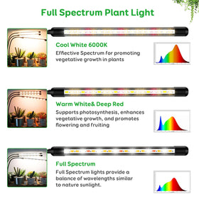 LPMZMBL full-spectrum panel in action supporting seedlings