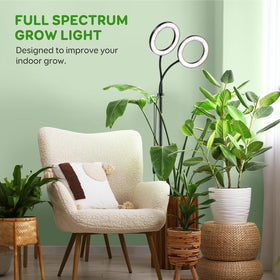 LPMZMBL ready-to-use indoor gardening setup for herbs, succulents, and flowers
