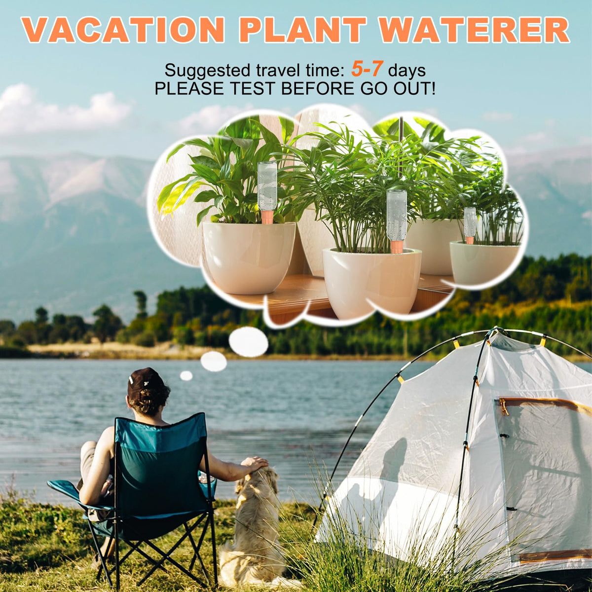 Vacation-ready Lsed watering spike keeping plants hydrated while away