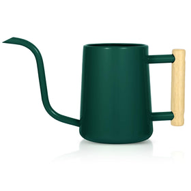 LTSUMI Alpinegreen long-spout watering can for precise indoor plant watering.