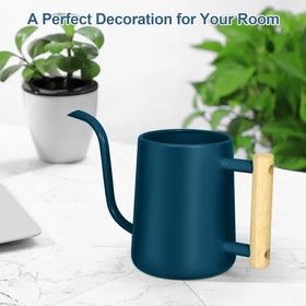 LTSUMI Decorative yet functional for display and everyday watering