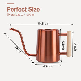 LTSUMI 1000 ml capacity watering can for small plants and bonsai