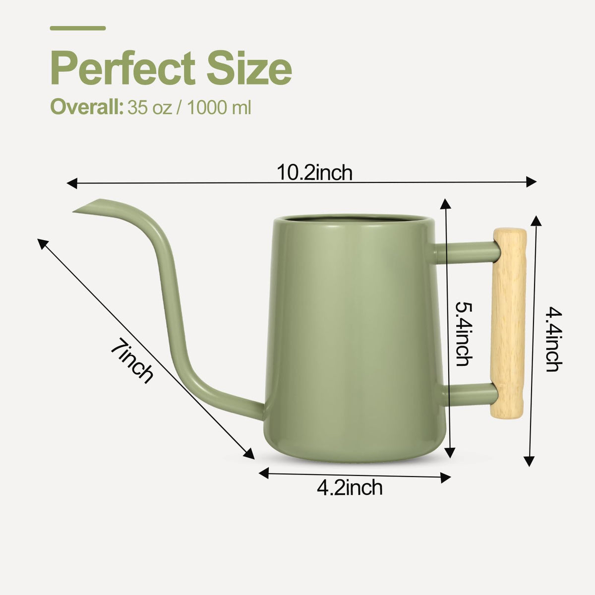 LTSUMI decorative watering can doubles as a stylish room accent.