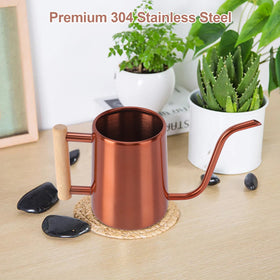 LTSUMI elegant watering can doubles as décor in modern spaces
