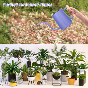 LTSUMI versatile watering can for indoor and outdoor use.