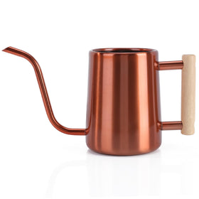 LTSUMI watering can with long spout for precise indoor plant watering