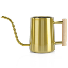 LTSUMI long-spout gold watering can for precise indoor plant watering.