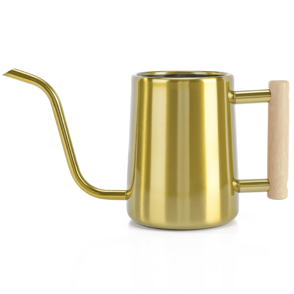 LTSUMI long-spout gold watering can for precise indoor plant watering.