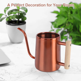 LTSUMI long-spout watering can minimize spills on tables and shelves