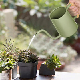 LTSUMI stainless steel watering can close-up showing durable construction for daily use.