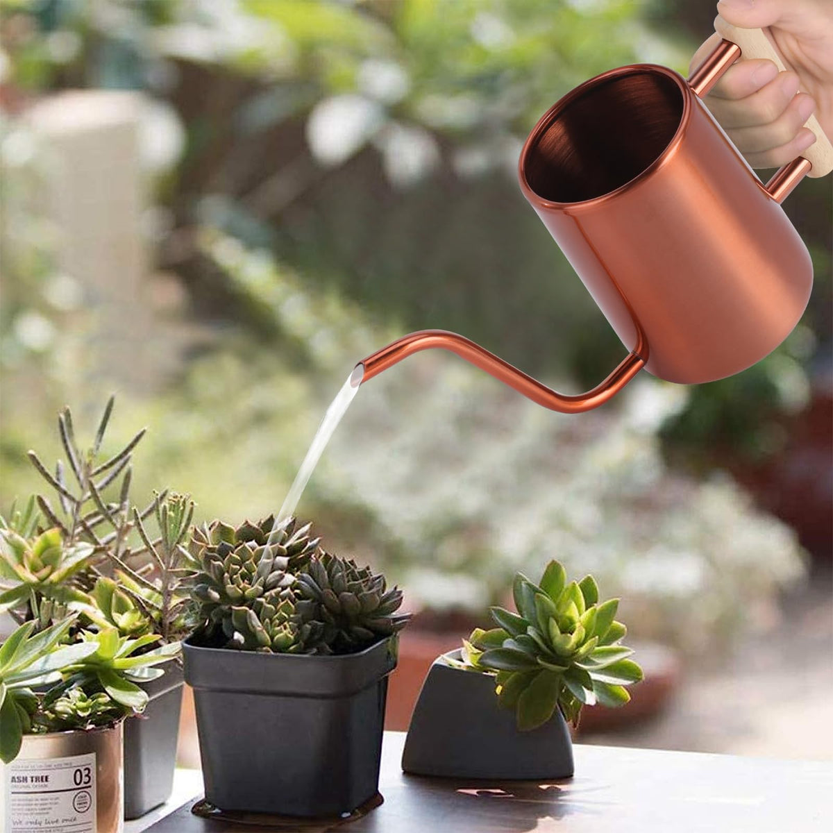 LTSUMI stainless steel watering can with a natural wooden handle