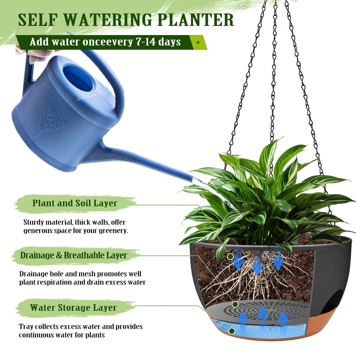 Lucieblessdesign drainage holes and tray, design prevents pooling and promotes airflow.