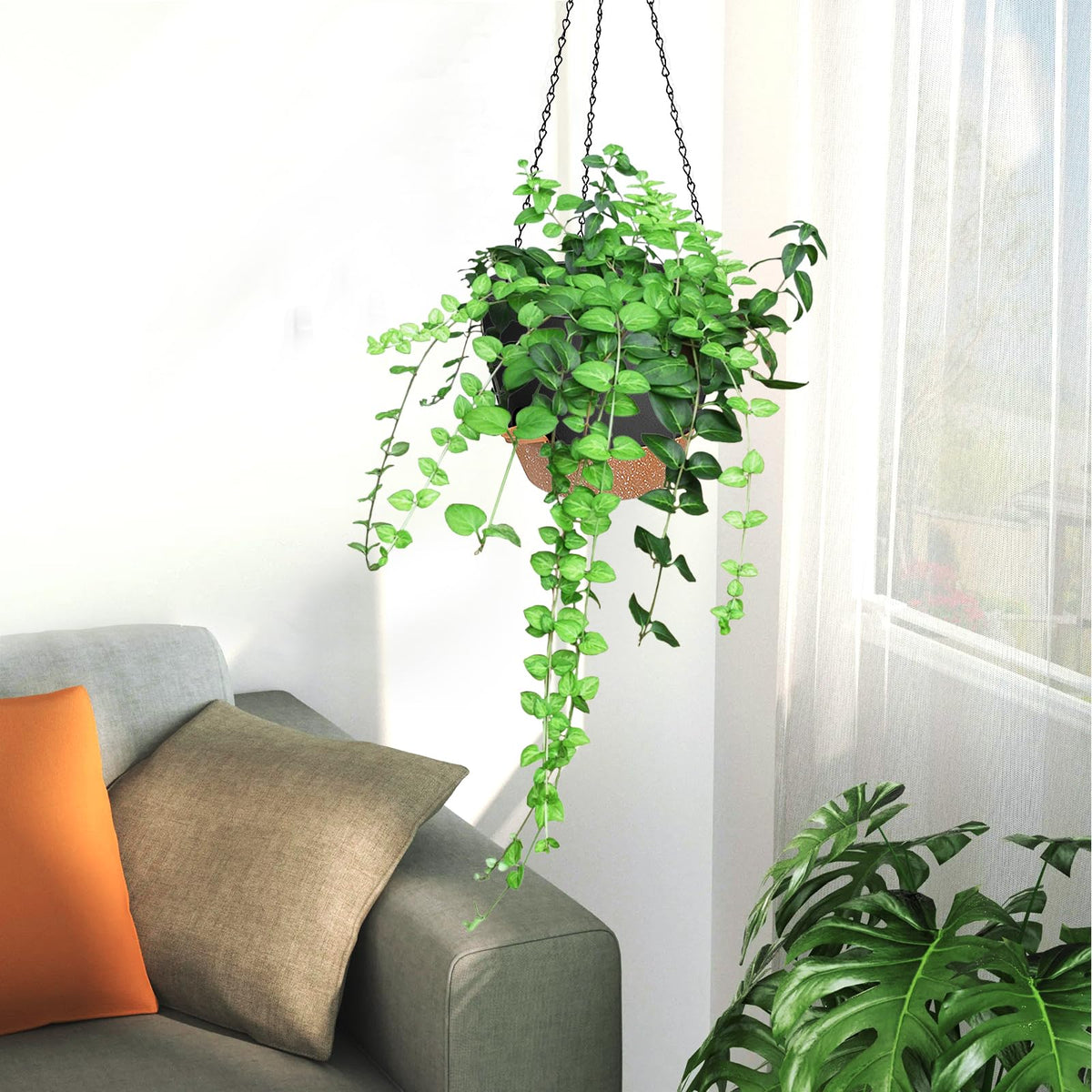 Lucieblessdesign indoor/outdoor use on balcony with multiple sizes.