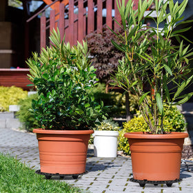LUCKIPLUS hollow-out drainage design promotes airflow and drainage.