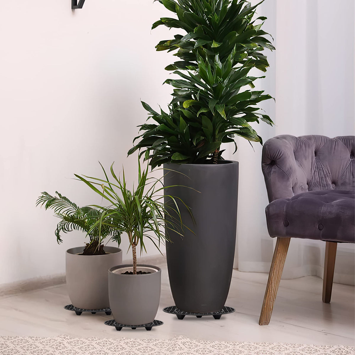 LUCKIPLUS versatile plant trivet for indoors and outdoors.