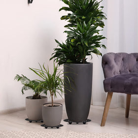 LUCKIPLUS versatile plant trivet for indoors and outdoors.