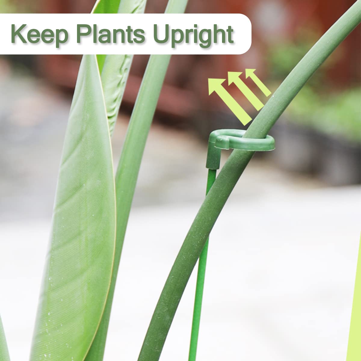 Luckjuju plant-clips-30-pcs hold stems gently and securely