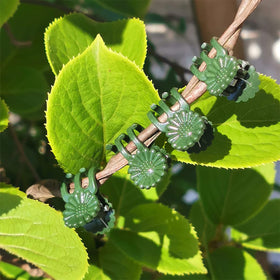 Luckjuju rose-orchid-tomato-support aids upright growth for multiple plants