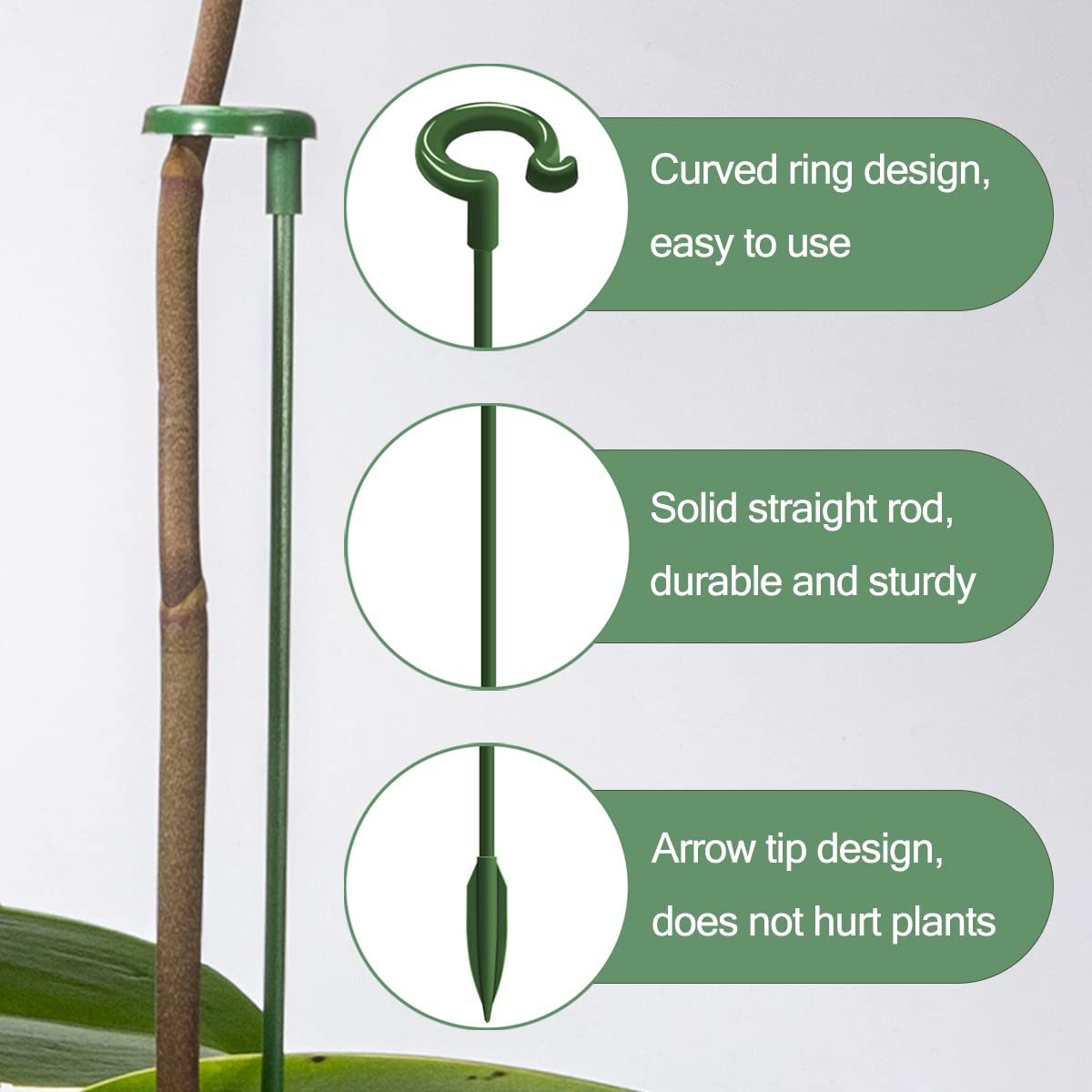 Luckjuju three-sizes-stake-assembly enables versatile plant height options