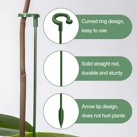 Luckjuju three-sizes-stake-assembly enables versatile plant height options