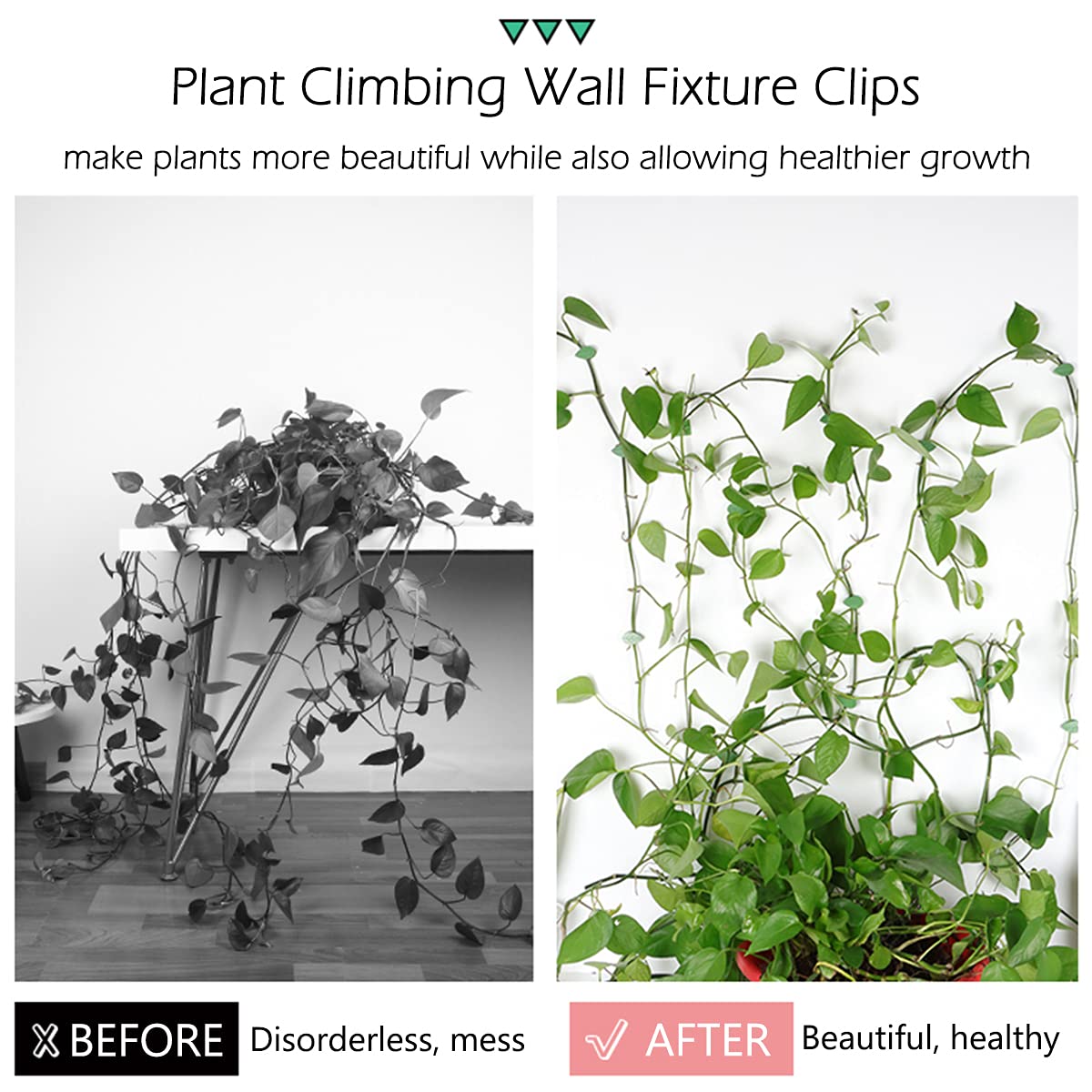 LUCKJUJU wall-clip hidden among leaves demonstrates an invisible mounting solution.