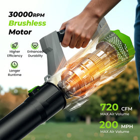 LUCKYTECH leaf blower dual battery pack for longer cordless sessions
