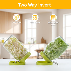 Luckyriren BPA-free drip tray keeps countertop clean during sprouts