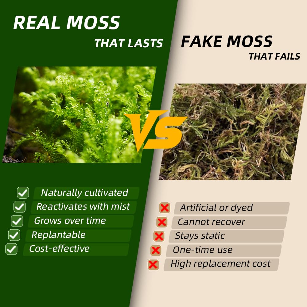 LUCKYRUNES moss base for bonsai provides a lush, complementary top layer.