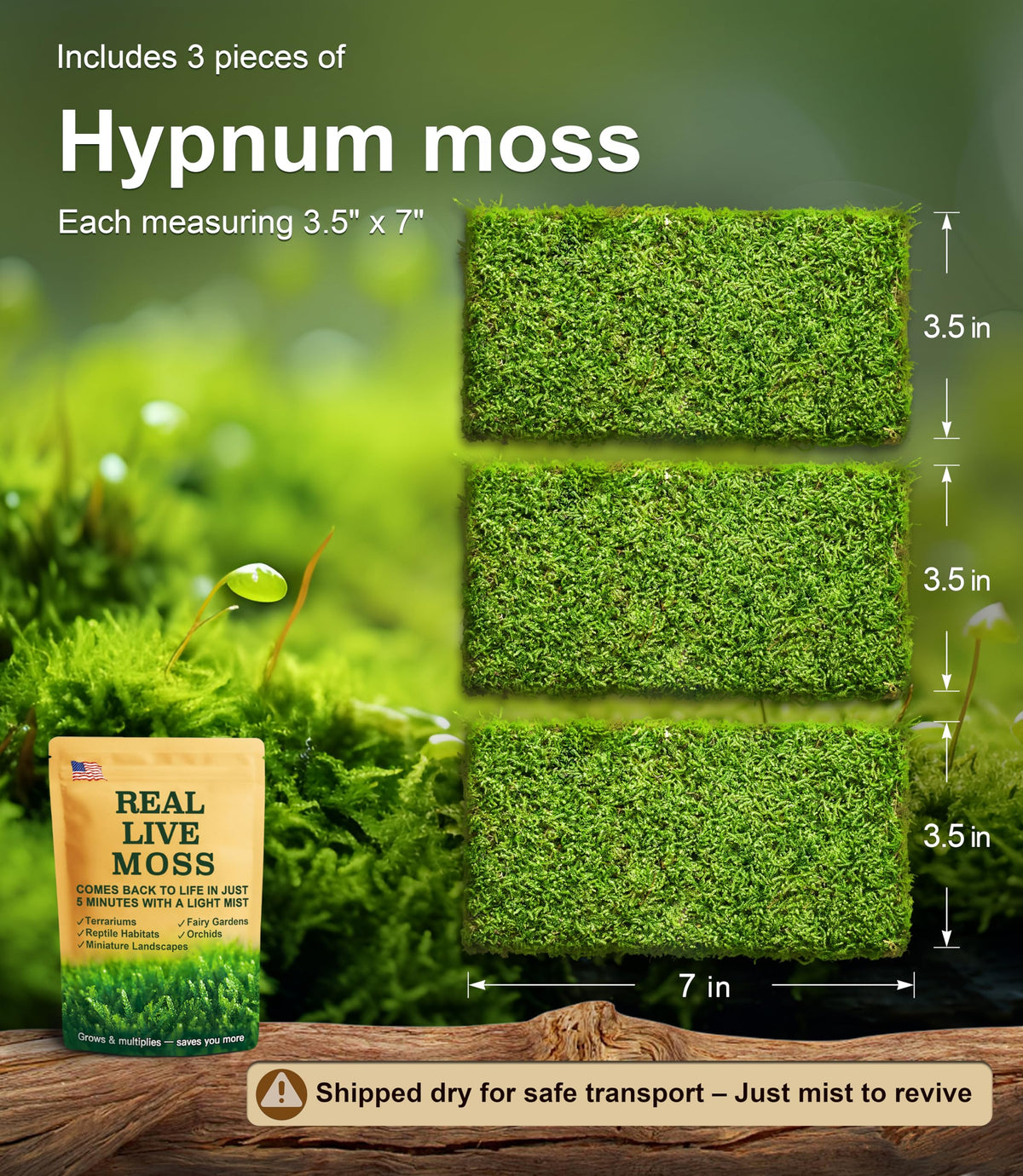 LUCKYRUNES moss for reptile enclosures adds natural cover and gentle greenery.
